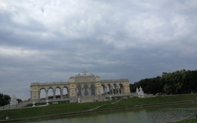 维也纳几楼有小姐姐,探寻神秘几楼小姐姐的秘密角落