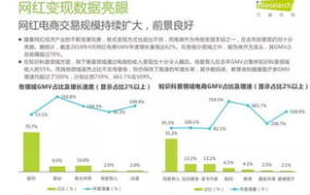 网红经济报告,揭秘流量变现新趋势